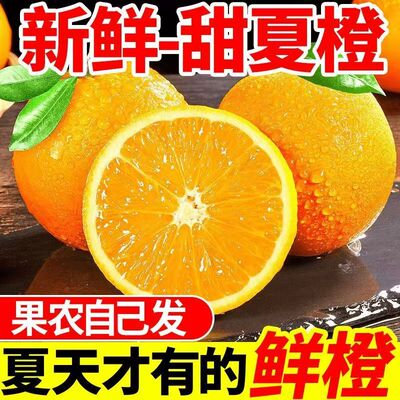 现摘秭归夏橙当季新鲜橙子薄皮脐橙孕妇应季水果批发整箱9斤榨汁