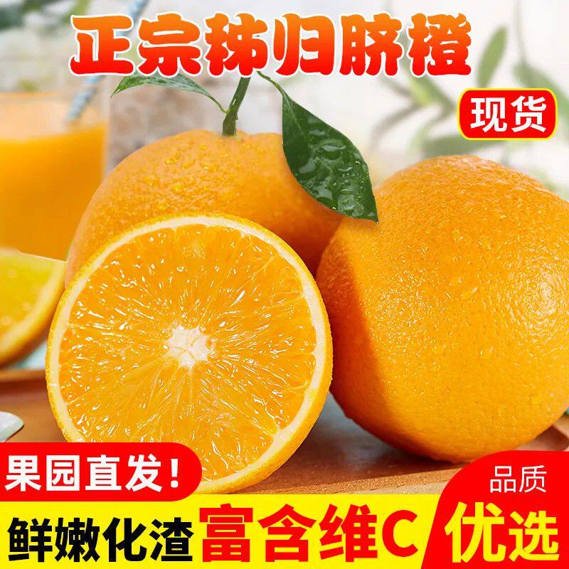 现摘秭归脐橙当季新鲜橙子薄皮脐橙孕妇应季水果批发整箱9斤