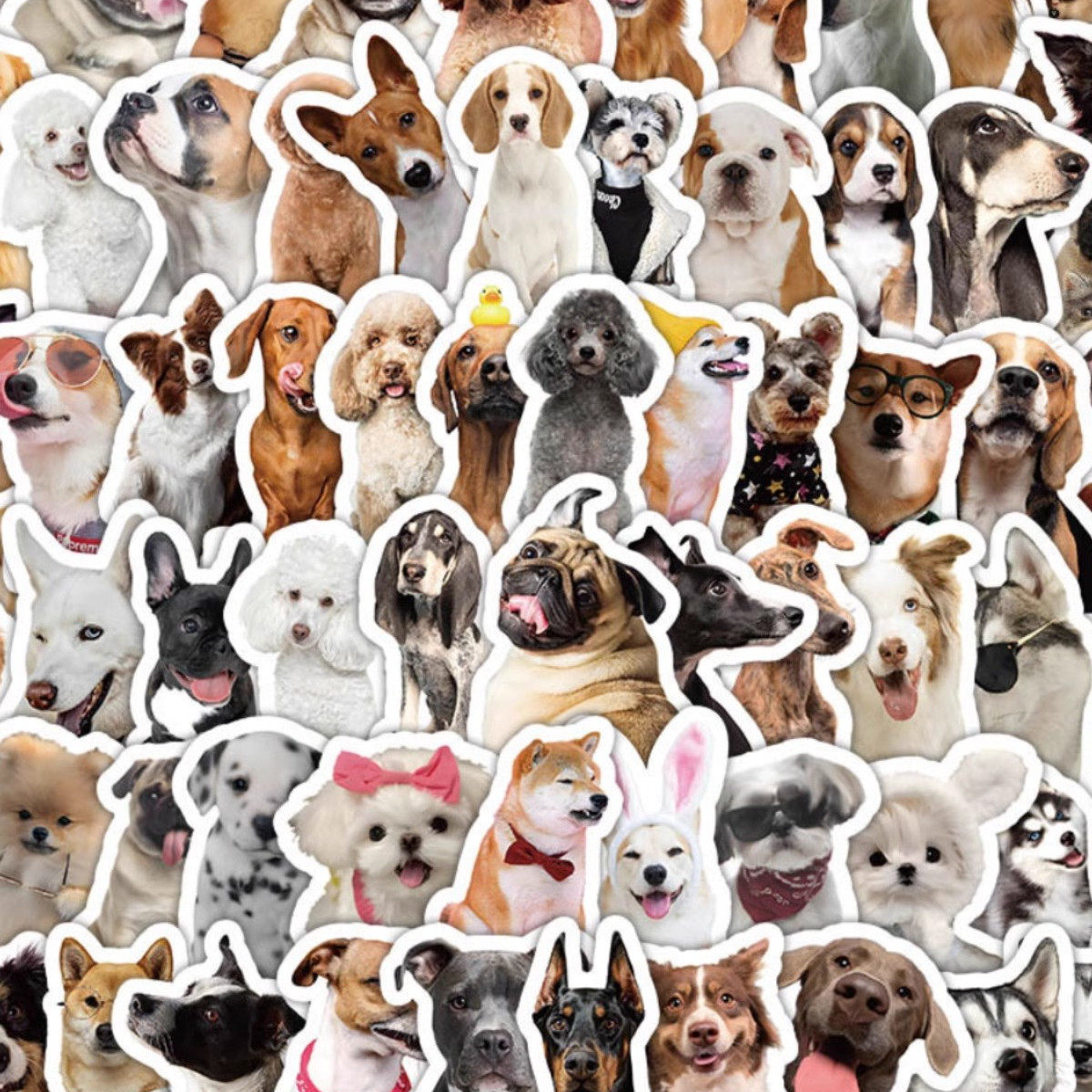 狗狗表情包贴纸可爱治愈装饰