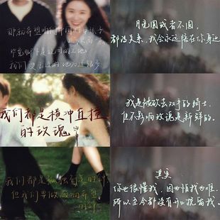 186张陷入我们 饰手机高清防水贴画 热恋语录治愈手写文字文案装