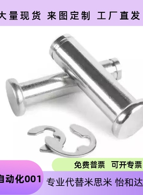 替合达米斯米铰链销SHCDG6/SHCDG8-20-10 12-1516-1822-2425-3040