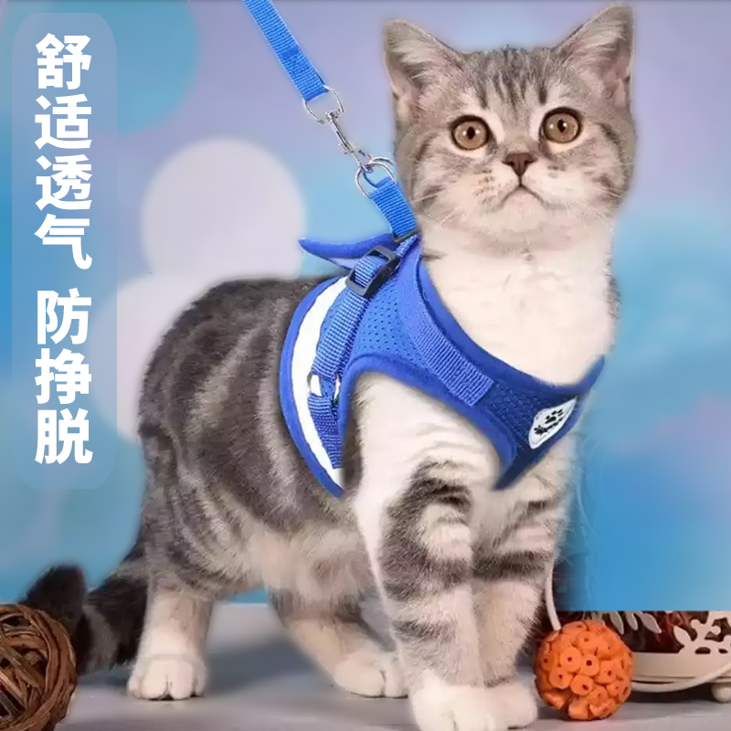 猫咪牵引绳网红防挣脱外出专用背心式自动伸缩高颜值小猫透气宠物