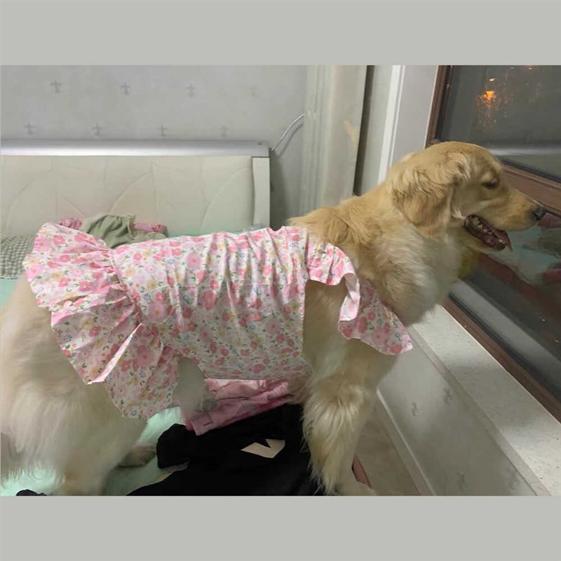 大狗狗碎花裙中大型犬裙子金毛边牧萨摩耶专用衣服夏天夏季款薄款