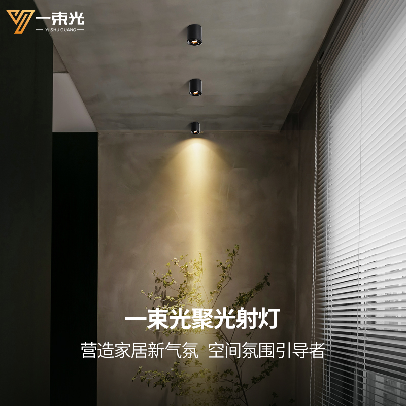 一束光聚光射灯明装茶室氛围酒柜工艺品摆饰绿植精准补光重点筒灯