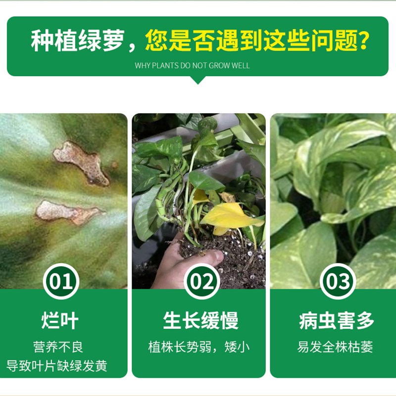绿萝专用营养液花肥料盆栽绿植通用水培植物免稀释液体肥花肥家用