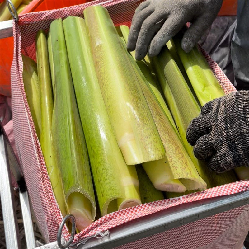 茭白高笋打包支架20*20镀锌钢方管铁架子农用蛇皮编制袋撑口支架