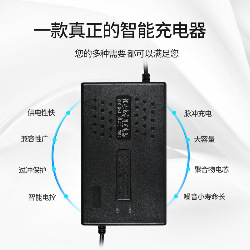 36V电动车磷酸铁锂三元聚合物锂电池充电器42V43.8V2A5A8A10A12串