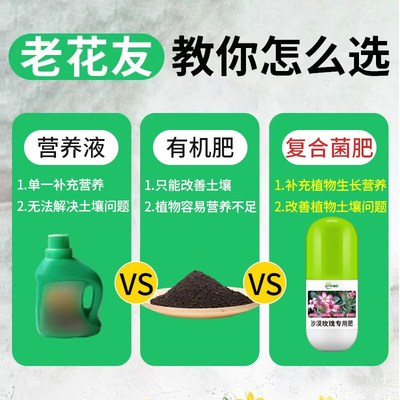 沙漠玫瑰专用肥盆栽花卉肥料沙玫磷土玫瑰开花养护营养液促花花肥