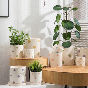 圆柱形纯手工刻印波点陶土素胚花盆透气吸水带托盘蝴蝶兰绿箩盆栽