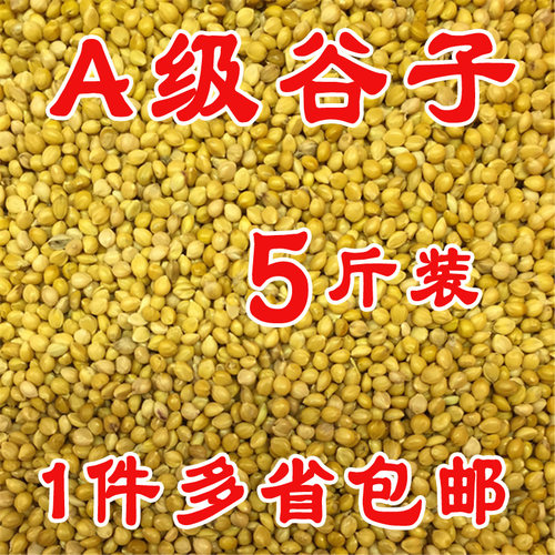 A级精品鹦鹉粮黄谷子鸟粮鸟食有壳谷子文鸟虎皮玄凤牡丹5斤包邮