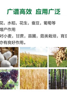 快速生根粉原粉扦插发根壮苗果树月季园林花草通用柑橘促生长包邮