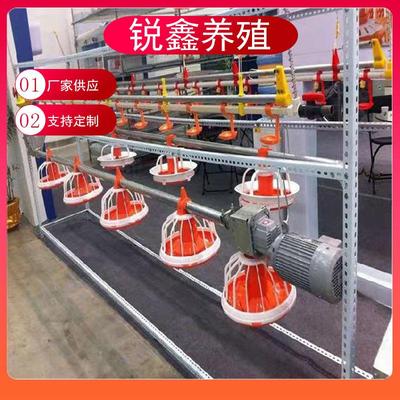 水线料线自动养鸡设备肉鸡平养料盘式喂料器喂水器鸡鸭用料线