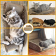 大号猫抓板耐磨不掉屑瓦楞纸大猫爪板靠背猫沙发猫窝猫咪磨爪器