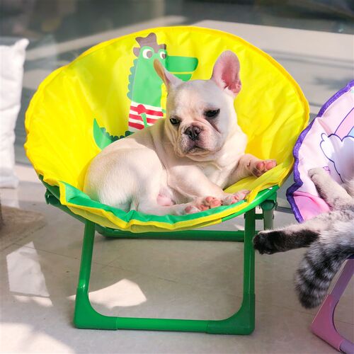 猫咪椅子狗狗晒太阳椅子牛津布小型狗狗家具休闲靠椅可折叠宠物垫 - 封面