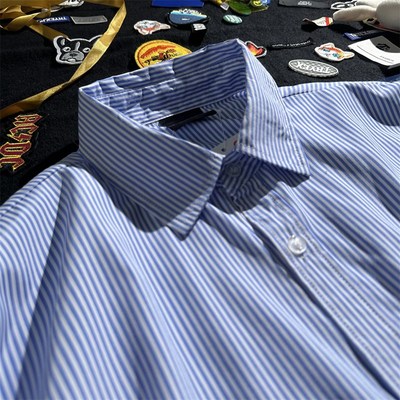 蓝条纹衬衫男高级感休闲秋季蓝白长袖衬衫打底蓝色新款浅蓝内搭女