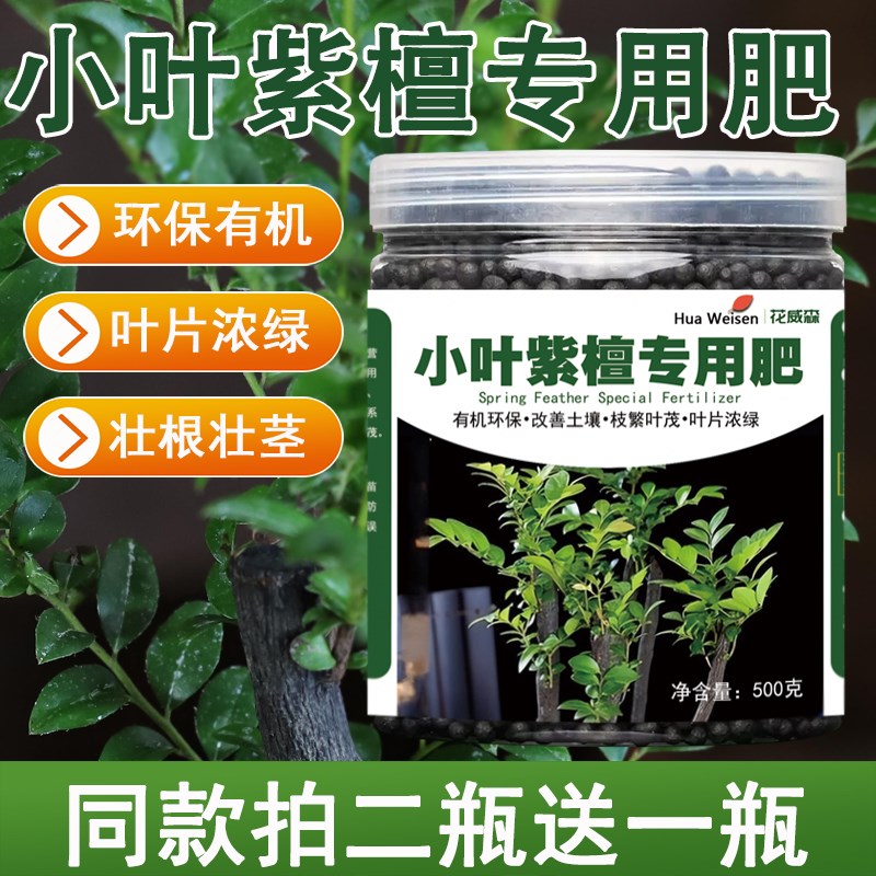 小叶紫檀肥料专用肥老桩树苗肥黑骨茶紫檀青檀营养液赤楠盆栽盆景