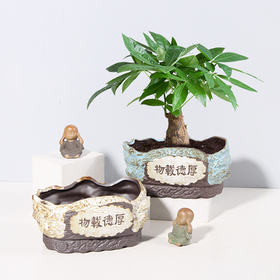 发财树盆景陶瓷花盆客厅办公室绿植净化空气绿植花盆