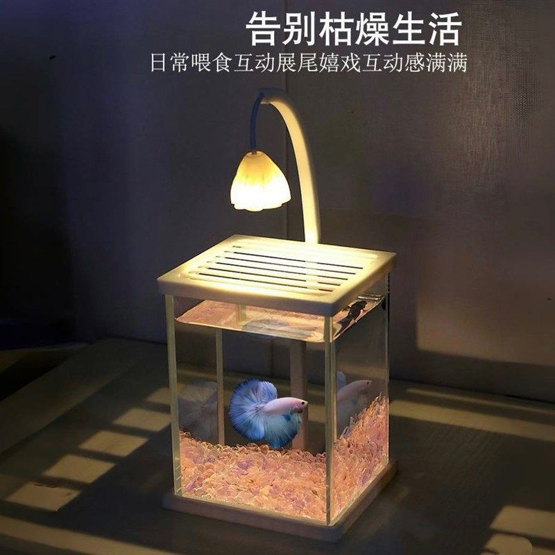 斗鱼专用鱼缸玻璃鱼缸黑玻璃小型桌面造景生态迷你客厅观赏小夜灯,宠物/宠物食品及用品,桌面缸,淘宝优惠券,粉丝福利购,淘宝优惠卷