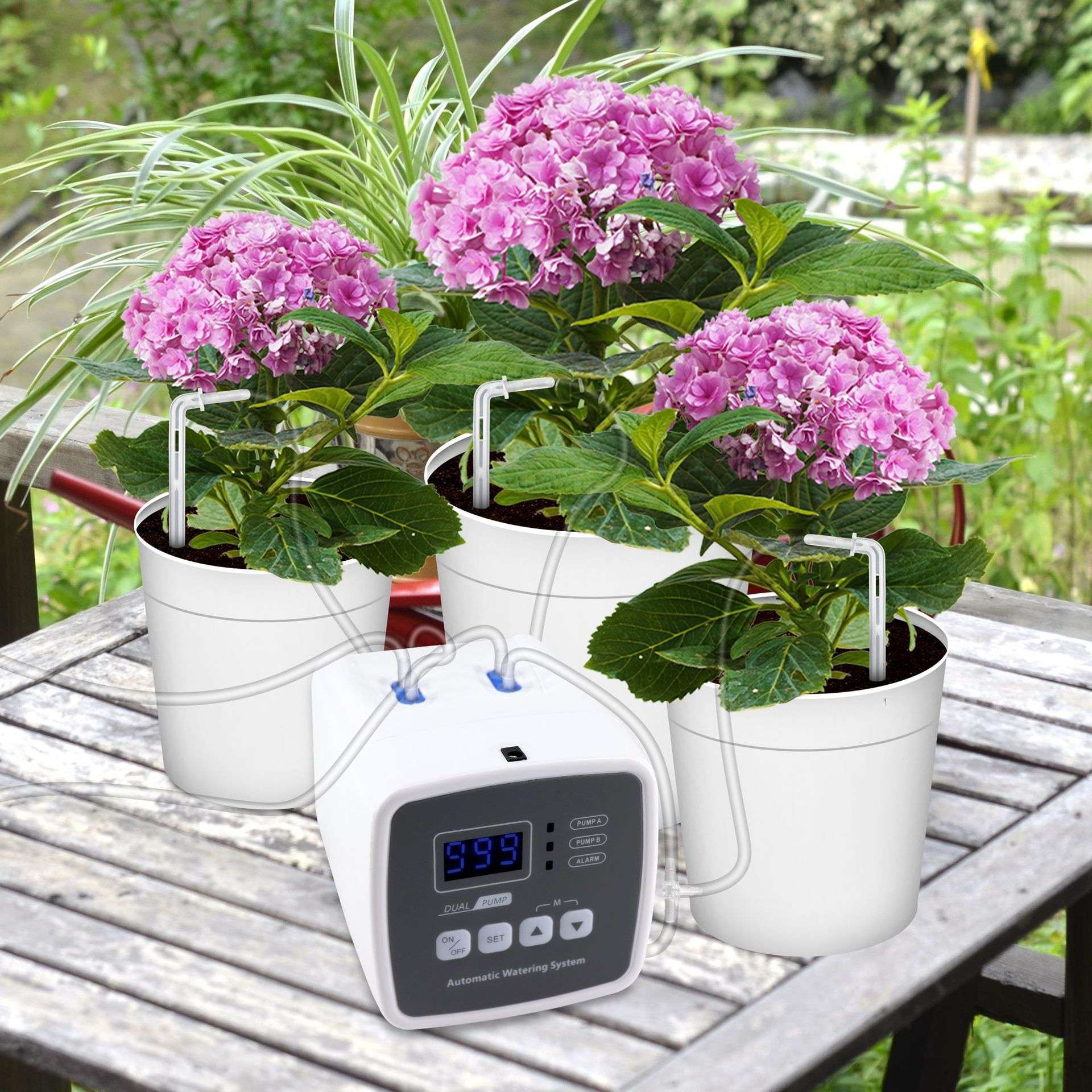 智能双泵定时自动浇水器阳台懒人 浇花器 家用花园绿植滴灌控制器