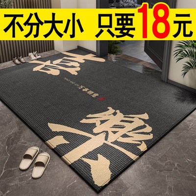 入户门地垫2025新款高级感进门门口脚垫耐脏免洗防滑家用门外地毯