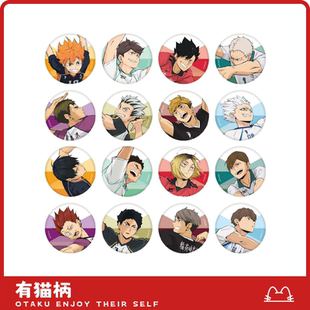 吧唧 排球少年 现货 TV10周年纪念展正比ver. 正版