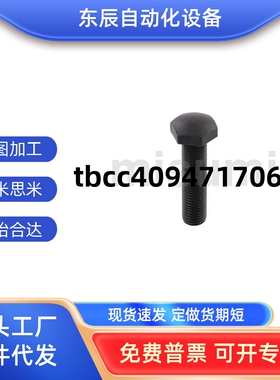 STBB8-40/4/5/6/-10-15-20-25-30-35-40-45-50/SSTBB-R型定位螺栓