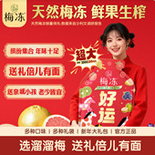 多口味果冻送礼 溜溜梅显眼包好运梅冻960g新年礼袋装 官方正品