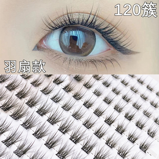 10-12毫米混装羽扇假睫毛分段单簇自然柔软浓密眼睫毛懒人初学者