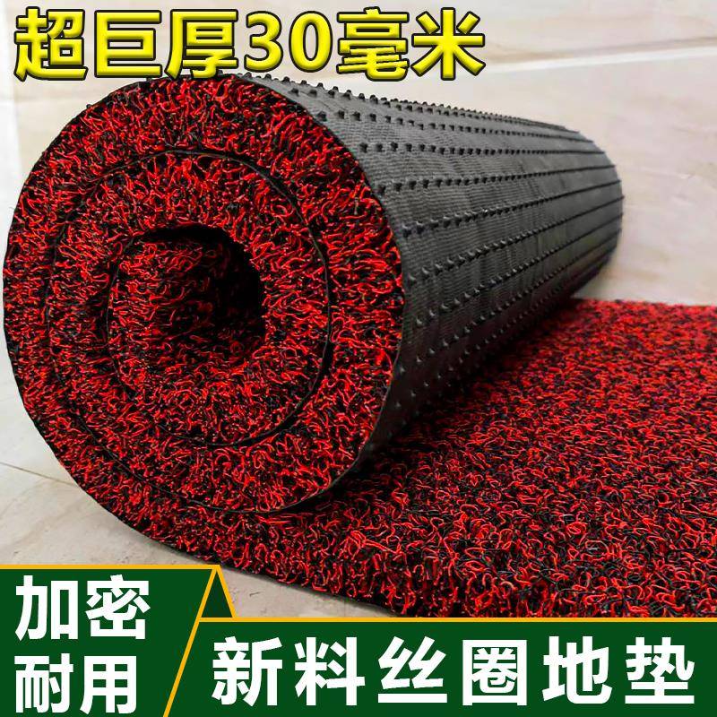 超巨厚30毫米丝圈地垫入户门垫门口欢迎光临钉底地毯丝圈加密地垫