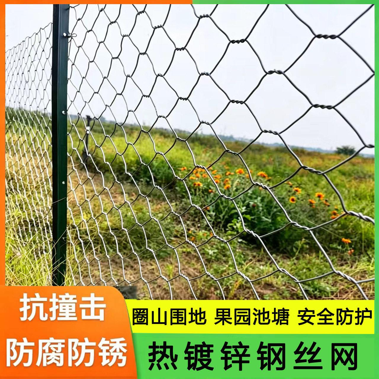 圈地钢丝网围栏果园大棚隔离护栏网河流安全防护网家畜养殖牛羊网