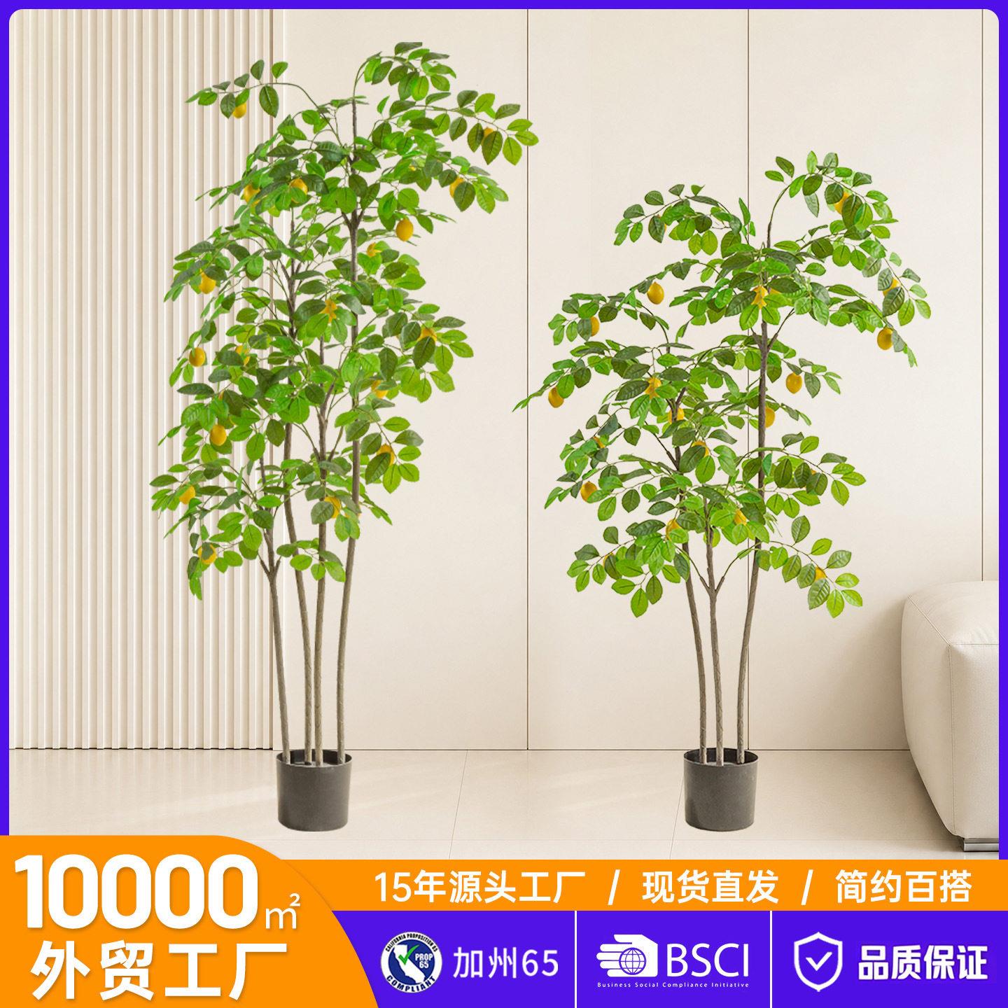 仿真绿植柠檬树盆栽室内客厅装饰盆景假树仿真树室内绿植摆件