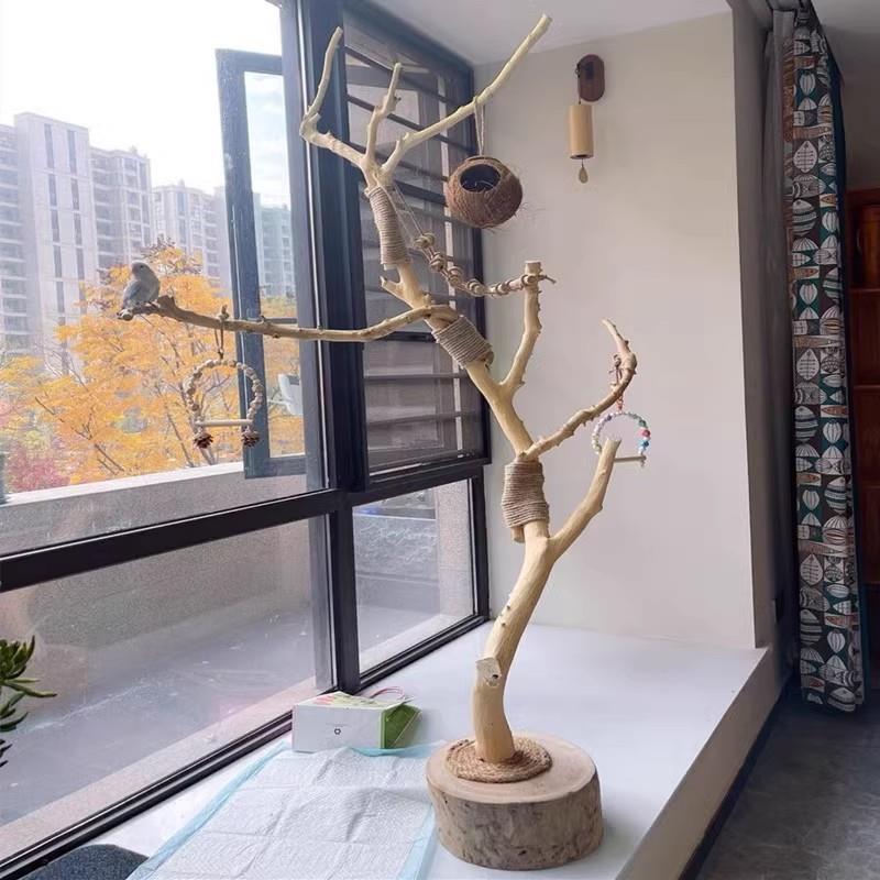 天然树枝鸟站架树鸟架站架鹦鹉啃咬玩具秋千玄凤小鸟树枝宠物站架