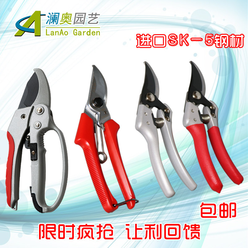 园艺修枝省力剪刀园林工具草坪剪修绿化剪刀粗枝剪刀家用修花剪刀,鲜花速递/花卉仿真/绿植园艺,剪刀,淘宝优惠券,粉丝福利购,淘宝优惠卷