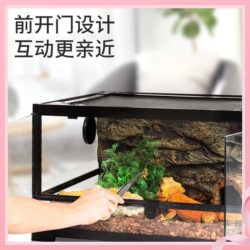 新派宠物瑞皮陆乌龟饲养箱鬃狮蜥蜴爬宠虫热带雨林生态缸