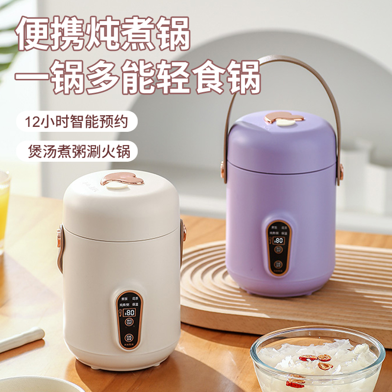 迷你便携式电炖锅煮粥神器家用多功能智能小炖煮锅煲汤熬粥电炖