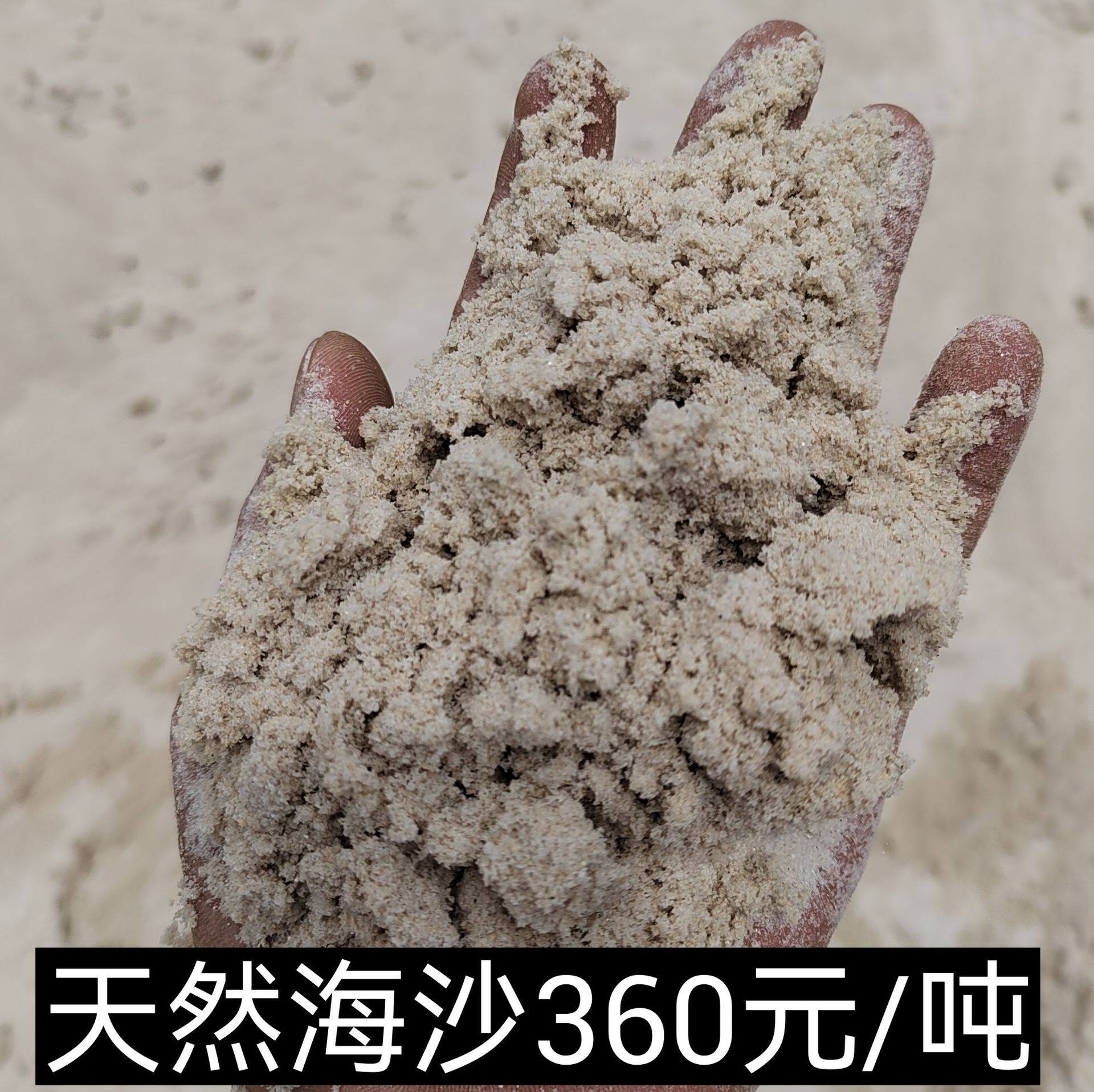 天然海砂烘干砂铸造砂儿童玩乐砂厂家直销潮州揭阳汕尾湛江茂名