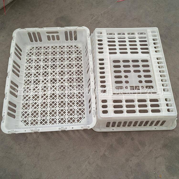 结实耐用塑料单开门元宝鸡筐塑料鸡笼子大鸡周转筐