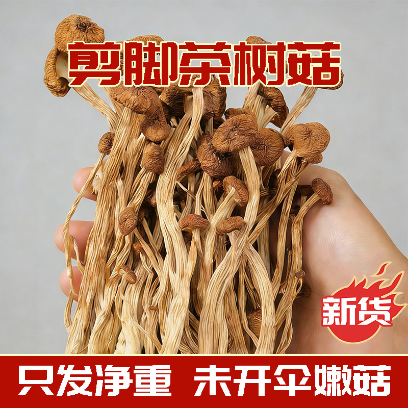 云南特产剪根茶树菇干货新鲜煲汤