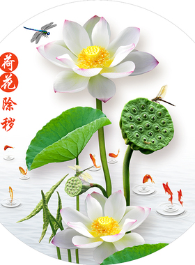 圆形荷花鲤鱼图卫生间贴画厨房专用荷花净秽化污防水自粘墙贴纸画