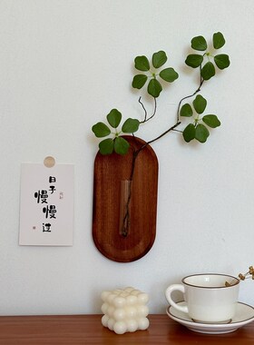 中古风客厅diy墙面上装饰水培花瓶壁挂创意餐厅挂件背景墙装饰品