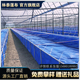 养殖帆布水池大棚鱼池加厚刀刮布水池水蛭龙虾对虾锦鲤鱼水箱养鱼