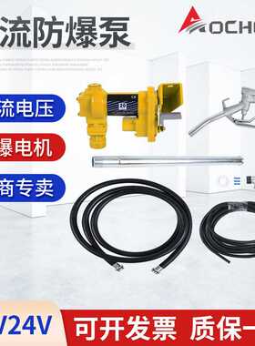 直流防爆泵 DC Ex-proo Fuel Transefer 亚马逊奥诚12V/24V直流