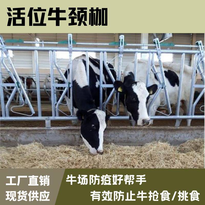 养牛场防疫自锁式牛颈夹牛场设备定位栏单开双开活位牛颈枷