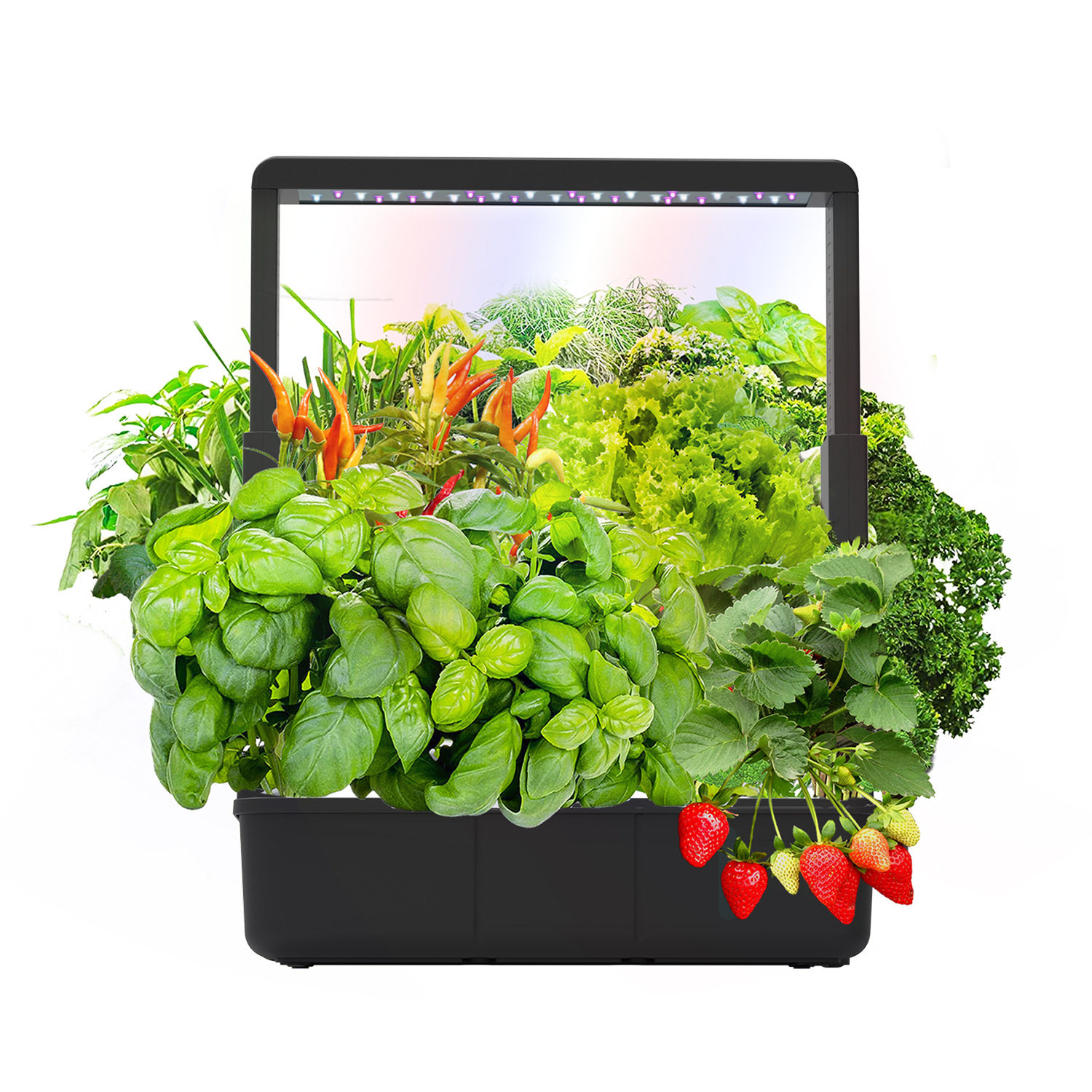IGS-38室内水培种植机智能无土栽培阳台花卉植物机高品质植物机