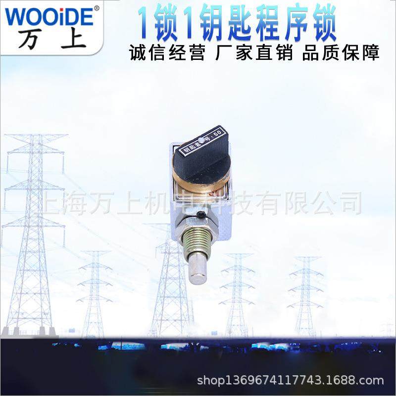 1锁1钥匙202JS防误机械程序锁高压开关柜设备专用五防锁程序锁,鲜花速递/花卉仿真/绿植园艺,割草机/草坪机,淘宝优惠券,粉丝福利购,淘宝优惠卷