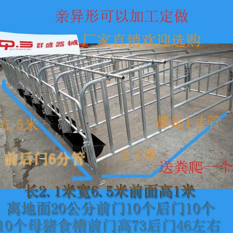 母猪定位限位栏带复合板养殖设猪用产床保育床单体栏限位栏