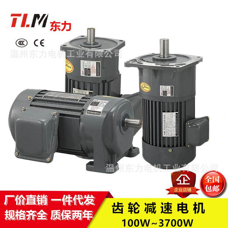 东力东元立卧式三相小型齿轮减速调速电机PL28-750-30S3