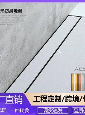 304不锈钢枪灰色防臭防反味下水道家用卫生间隐藏式地漏DL2223