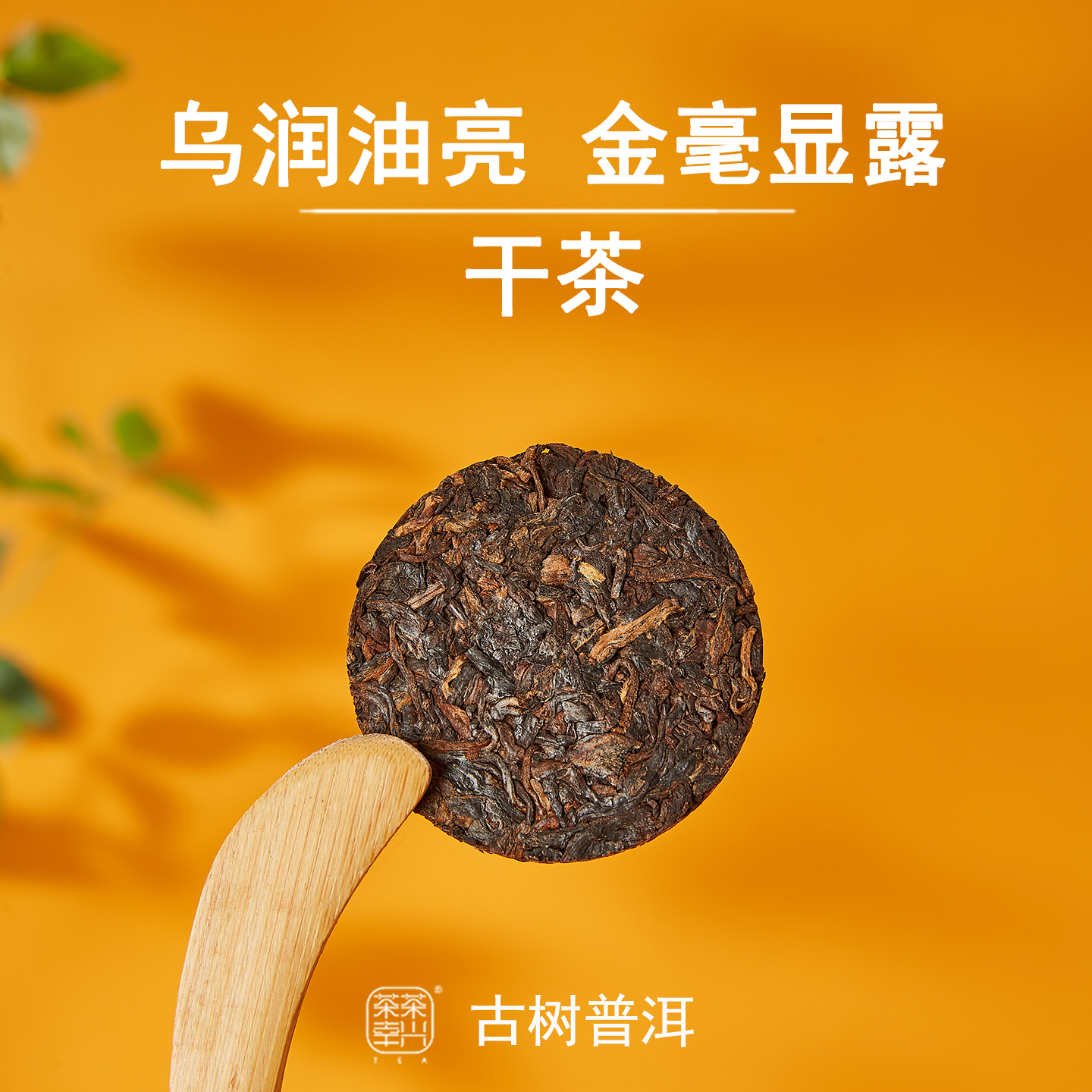 【茶兴茶幸欧标】5年陈普洱熟茶 小户赛古树茶 小片免撬