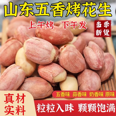 五香烤花生山东莱西来西恒清脱油